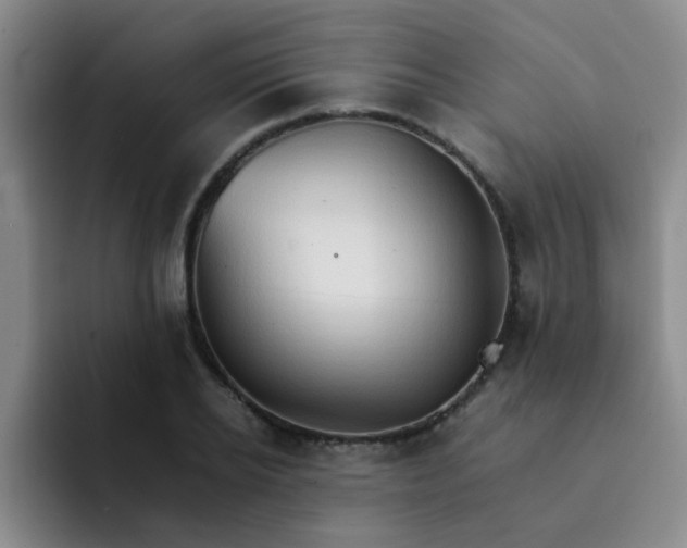 X0000092050934200709262007