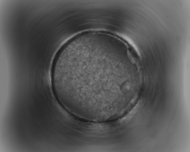 X0000092050935200709262007