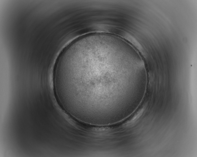 X0000092050939200709262007