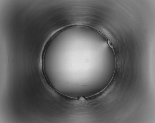 X0000092050940200709262007