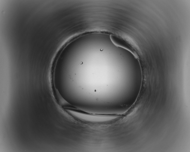 X0000092050942200709262007