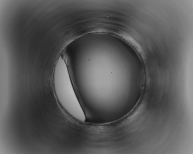 X0000092050945200709262007