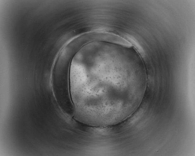 X0000092050948200709262007