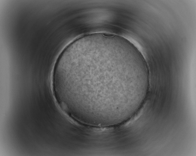 X0000092050949200709262007