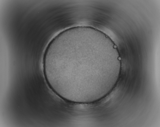 X0000092050950200709262007