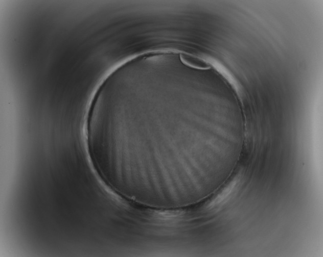 X0000092050951200709262007