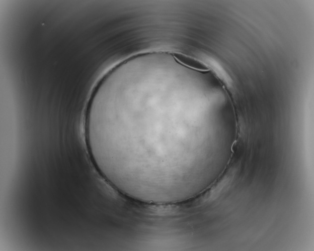 X0000092050952200709262007