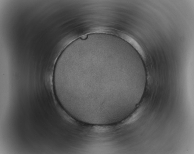 X0000092050954200709262007