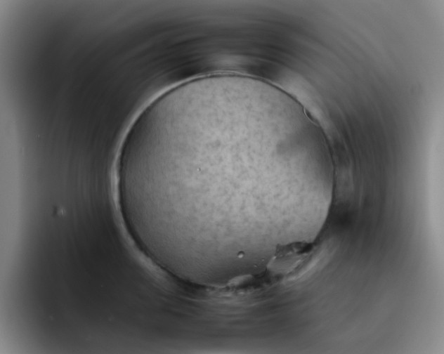 X0000092050955200709262007