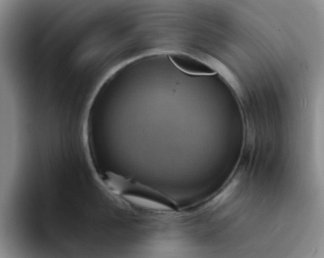 X0000092050958200709262007