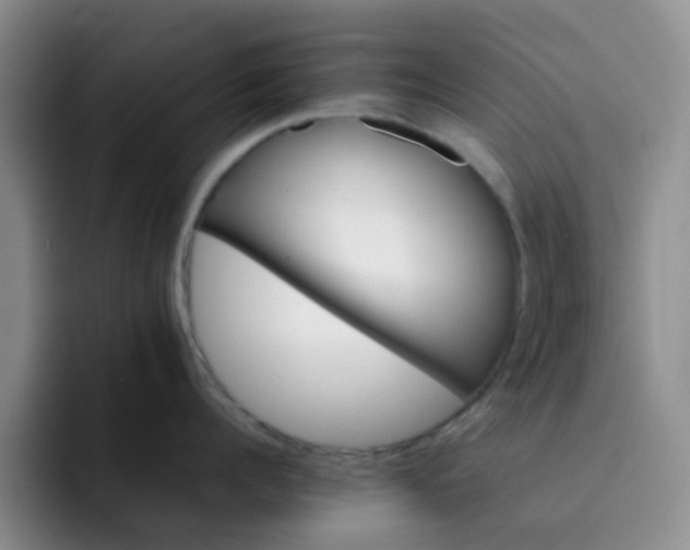 X0000092050960200709262007