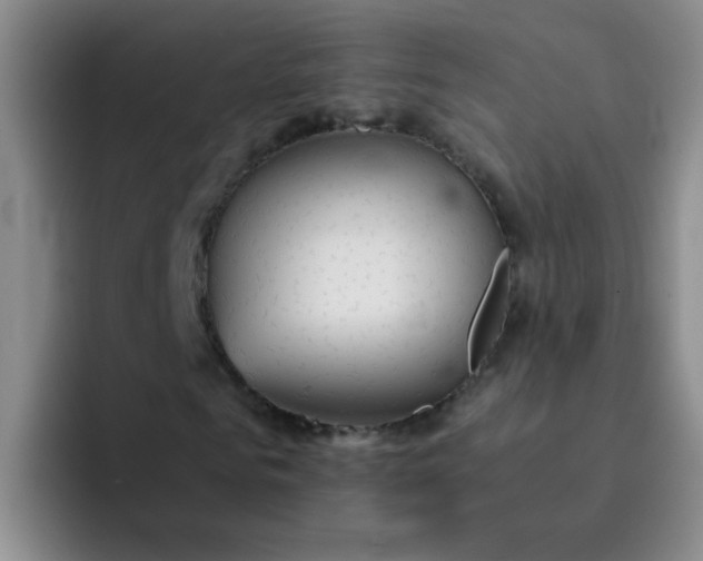 X0000092050961200709262006