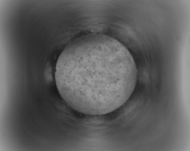 X0000092050962200709262006