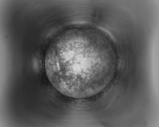 X0000092050966200709262006