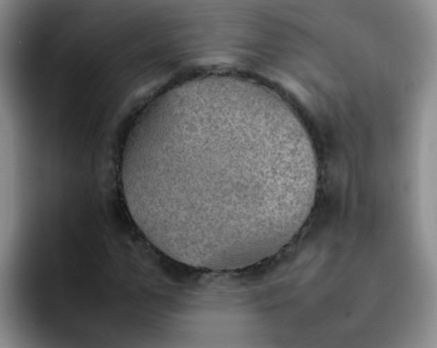 X0000092050967200709262006