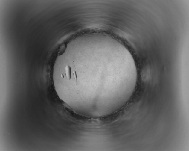 X0000092050968200709262006