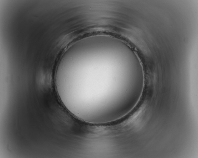 X0000092050969200709262006