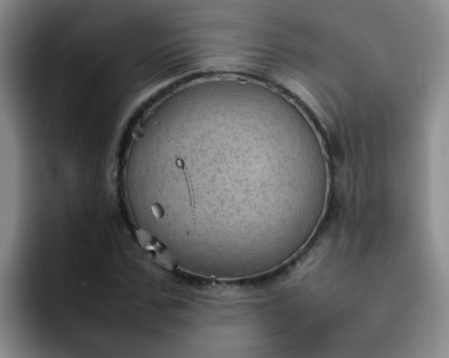 X0000092050971200709262006