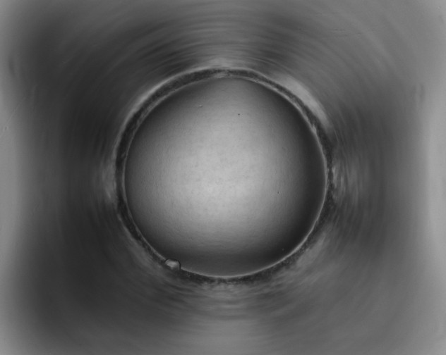 X0000092050972200709262006