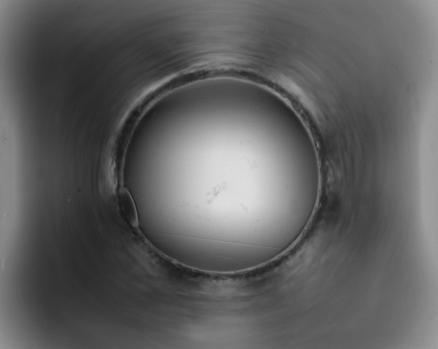 X0000092050973200709262006