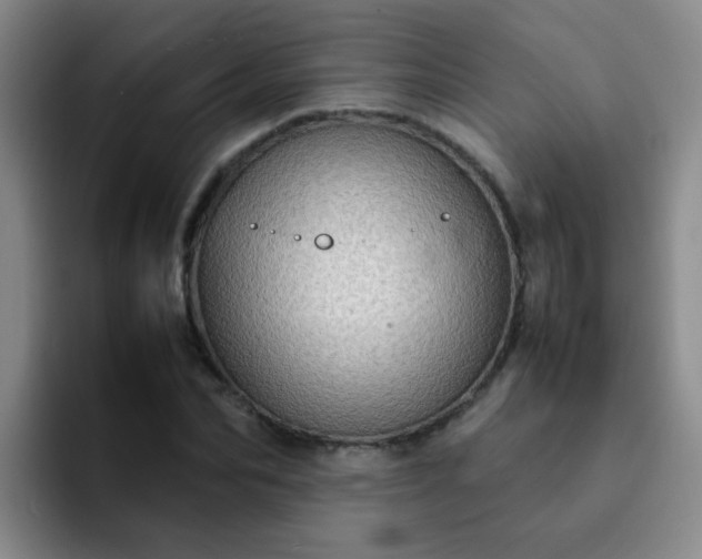 X0000092050974200709262006