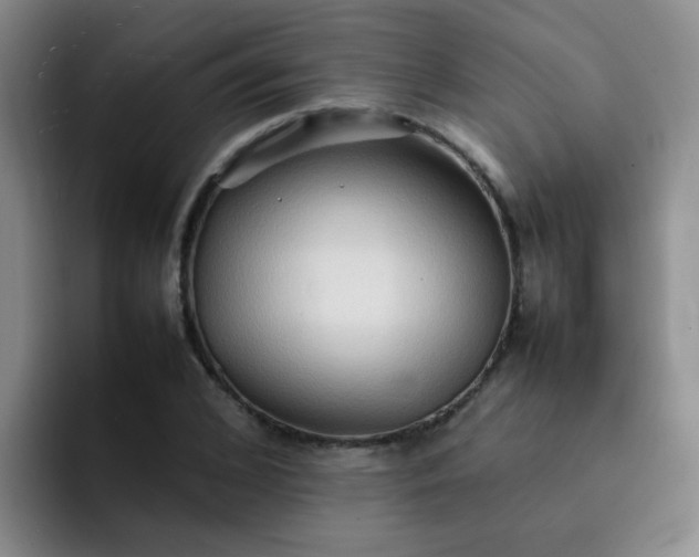 X0000092050976200709262006