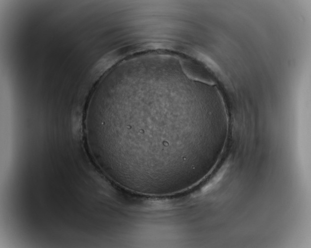 X0000092050977200709262006