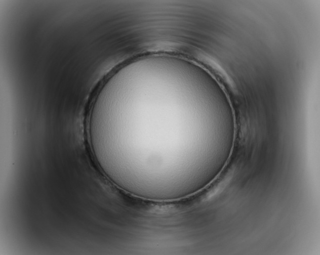 X0000092050978200709262006