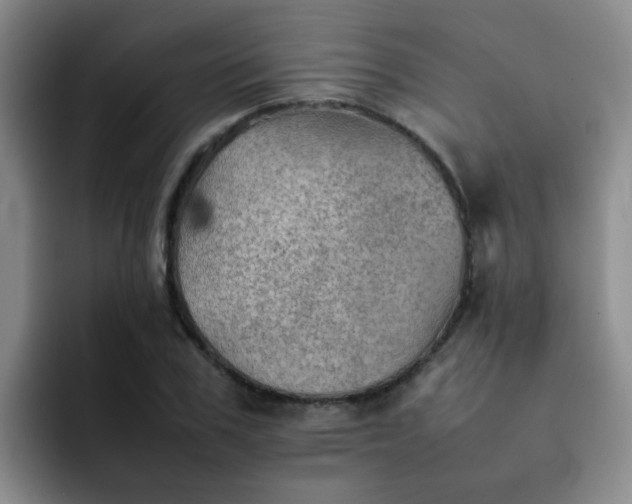 X0000092050979200709262006