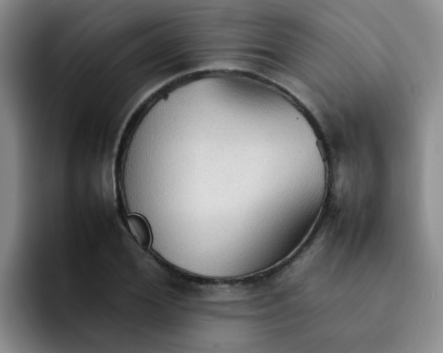 X0000092050980200709262006