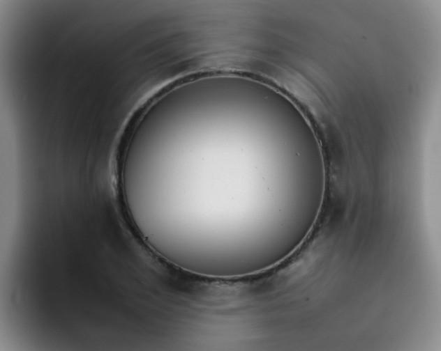 X0000092050981200709262006