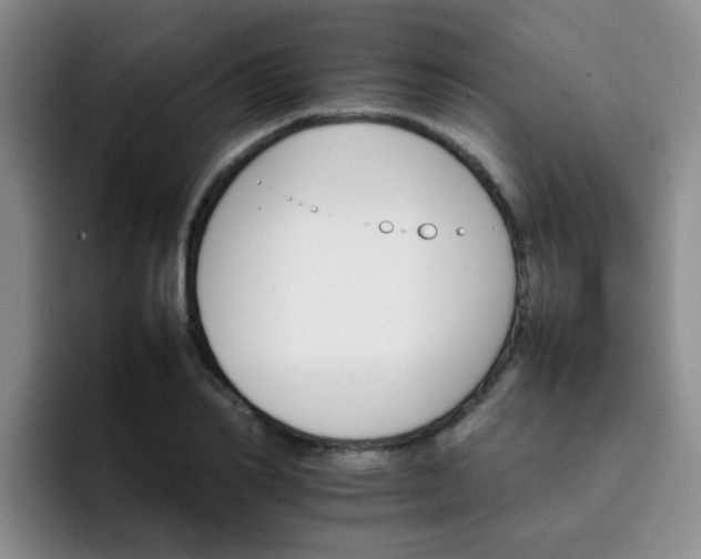 X0000092050982200709262006