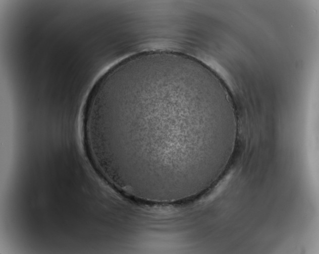 X0000092050983200709262006