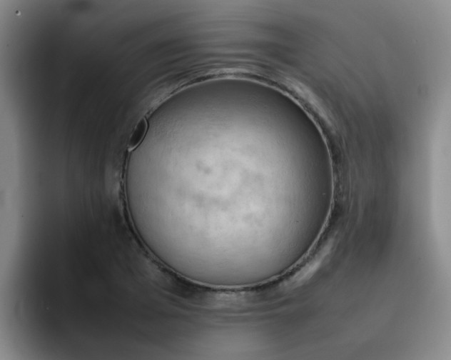 X0000092050985200709262006