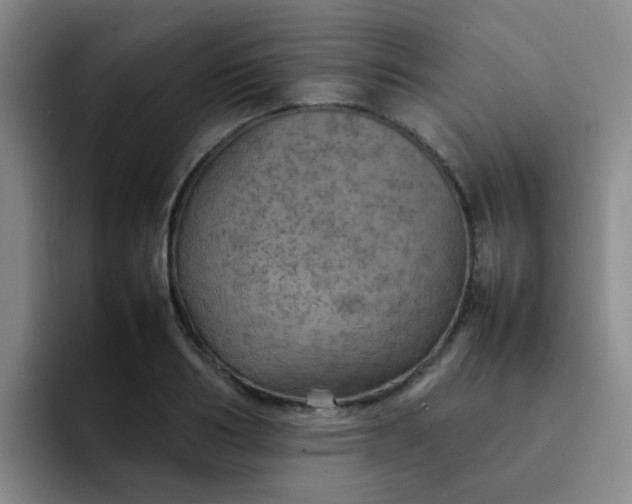 X0000092050986200709262006