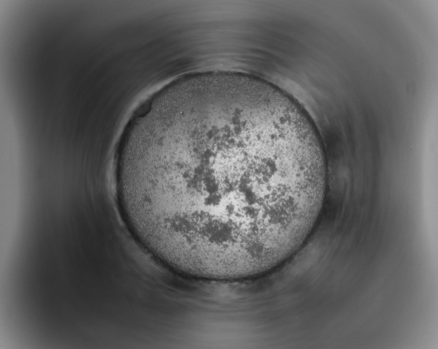 X0000092050987200709262006