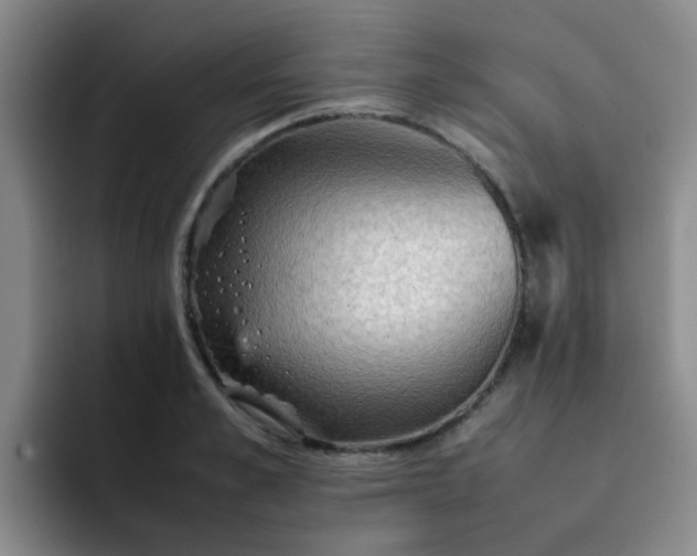 X0000092050989200709262006