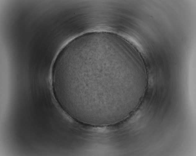 X0000092050990200709262006