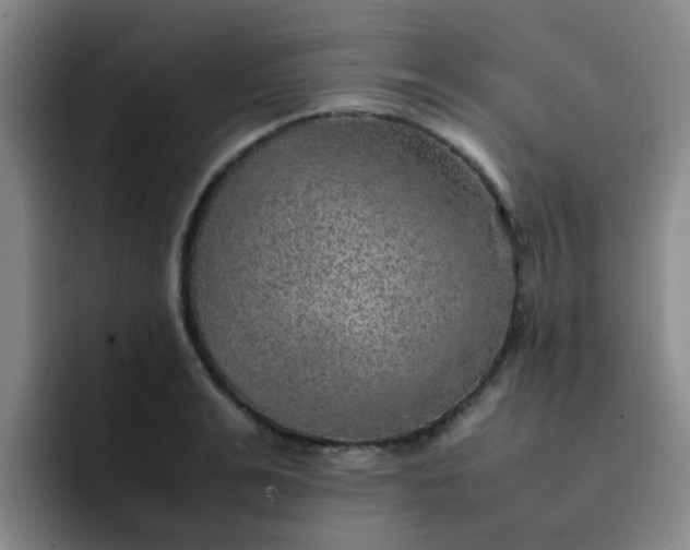 X0000092050991200709262006