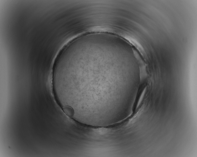 X0000092050992200709262006