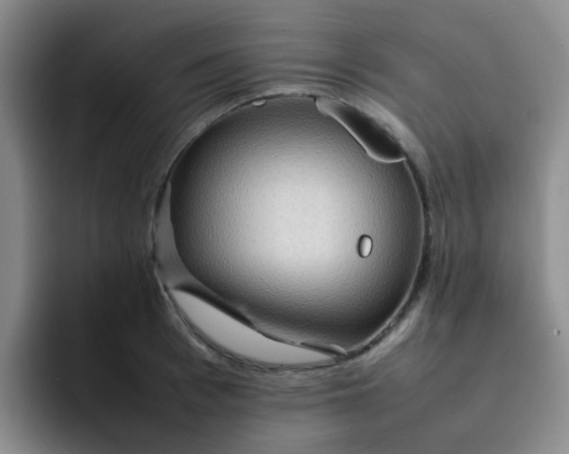 X0000092050993200709262006