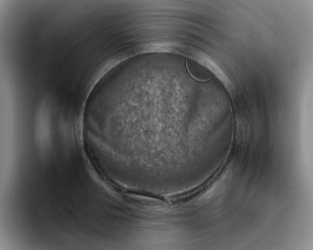 X0000092050994200709262006