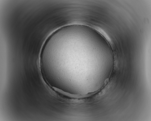 X0000092050996200709262006