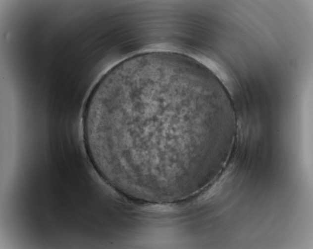 X0000092050998200709262006