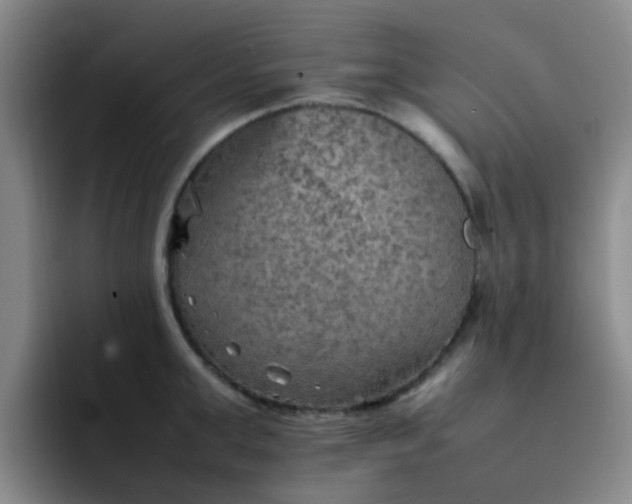 X0000092050999200709262006