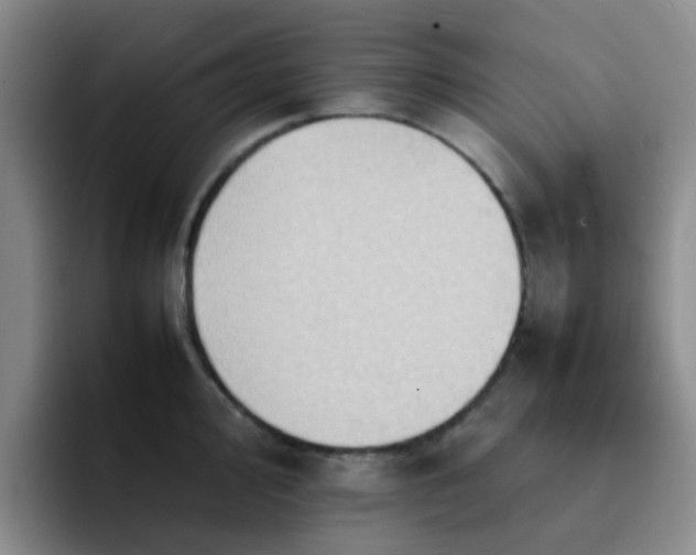 X0000092051000200709262006