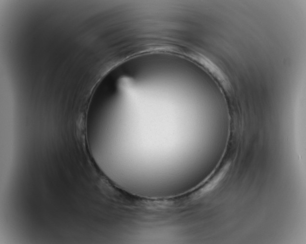 X0000092051001200709262006