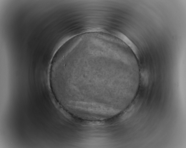 X0000092051002200709262006