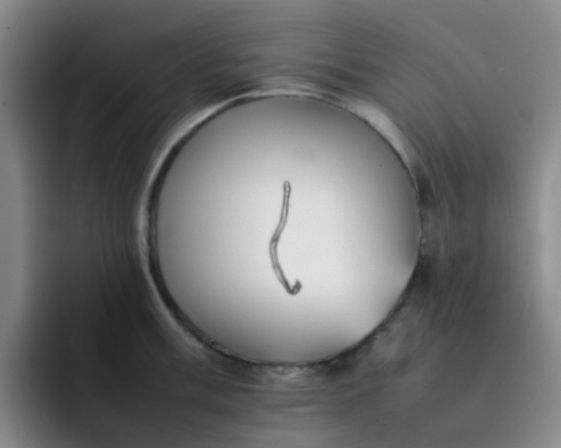 X0000092051003200709262006