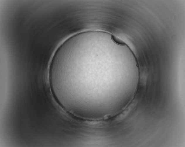 X0000092051004200709262006